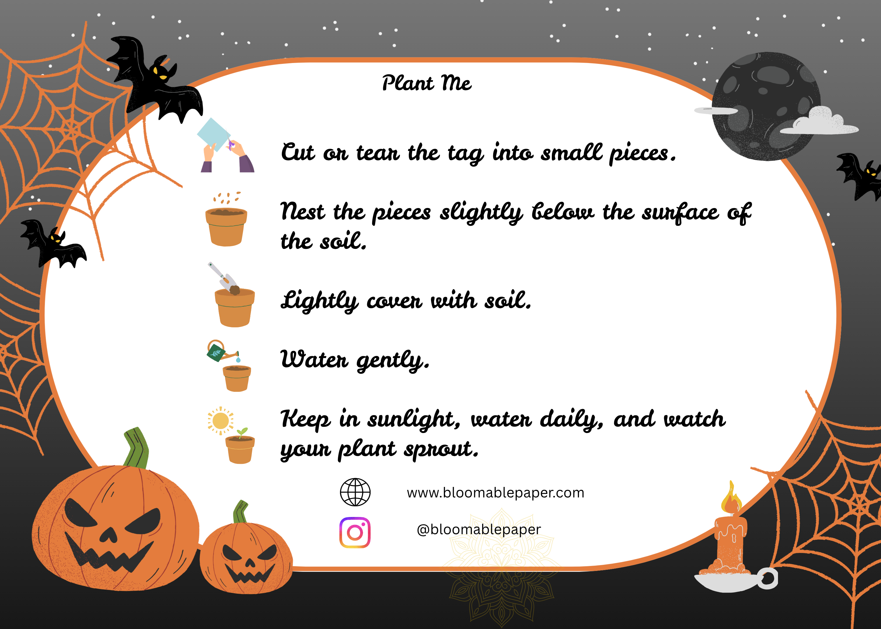 Midnight Pumpkins – Halloween Gift Tag- (3.5 x 2.5 in) (Pack of 18)