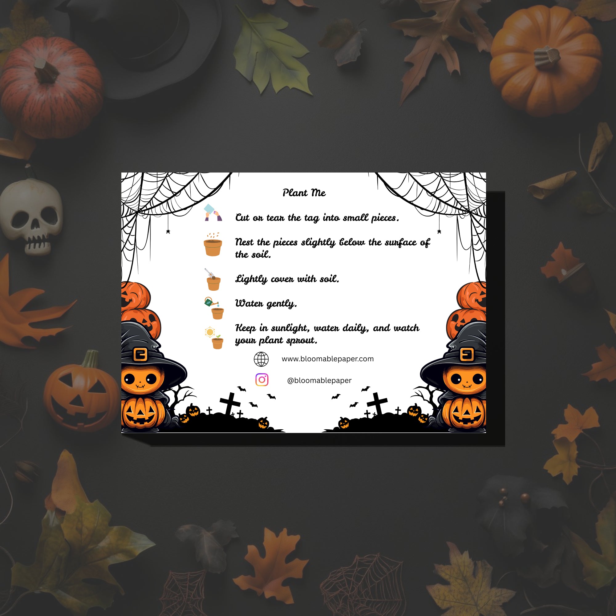 Pumpkin Witch – Halloween Gift Tag (3.5 x 2.5 in) (Pack of 18)