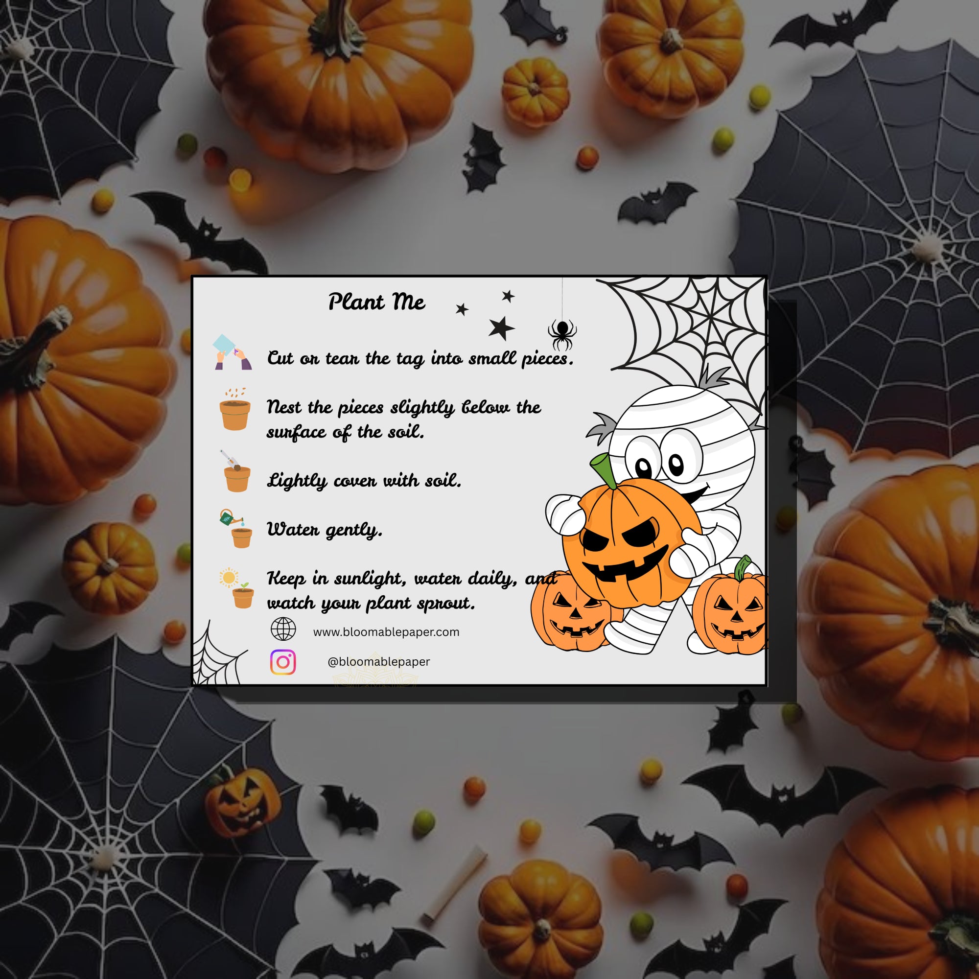 Mummy & Pumpkins – Halloween Gift Tag (3.5 x 2.5 in) (Pack of 18)