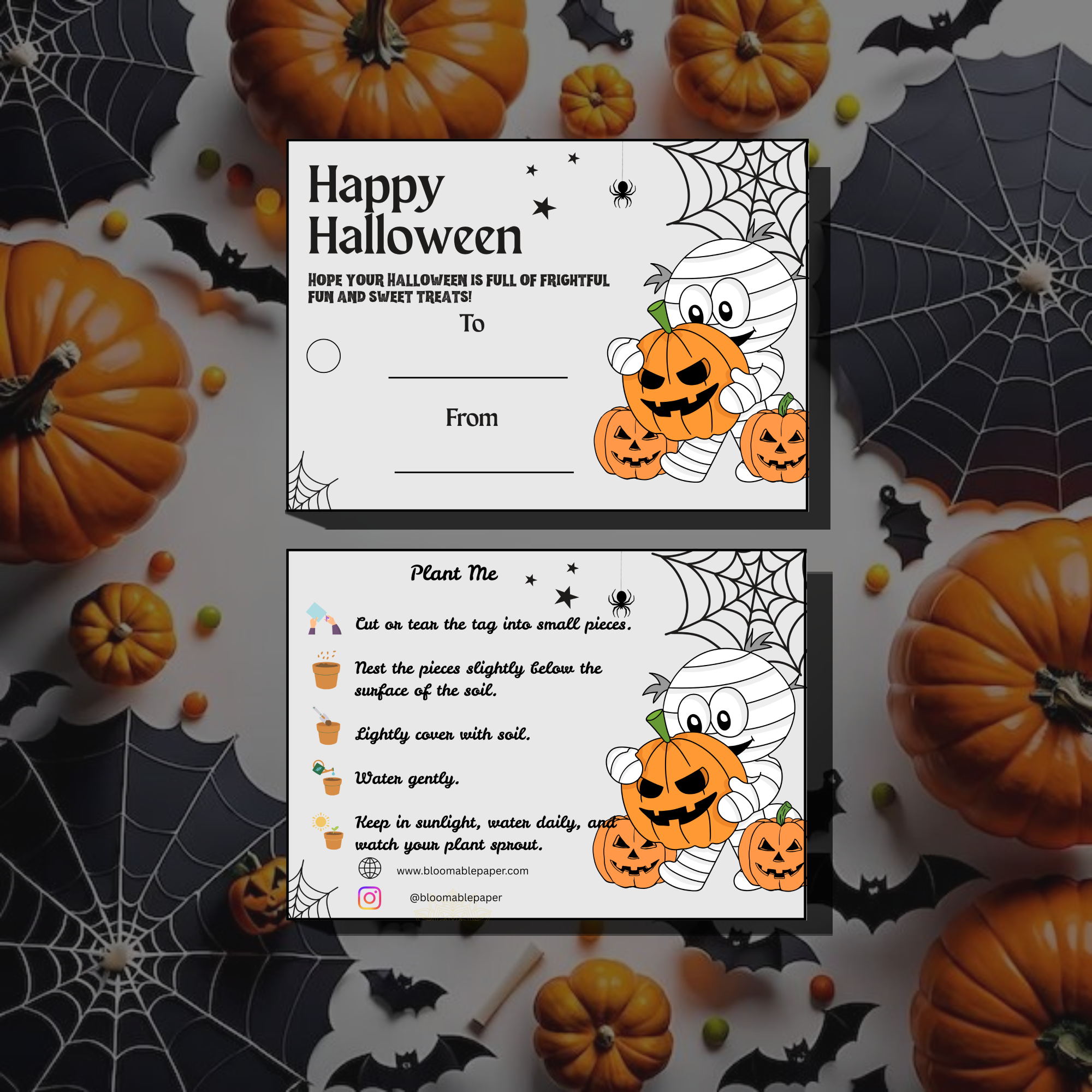 Mummy & Pumpkins – Halloween Gift Tag (3.5 x 2.5 in) (Pack of 18)